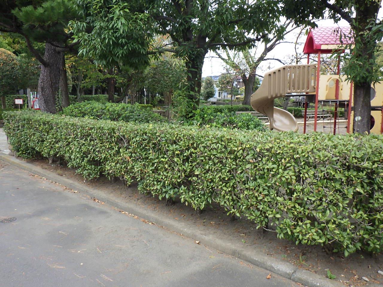 狭山池公園生垣