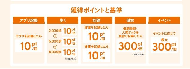 チラシポイント