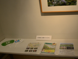 リーフレット配布