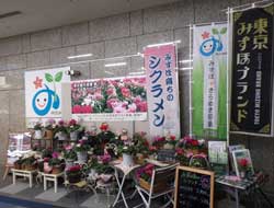 都庁観光PRセンター　パネルおよびのぼり旗、リーフレット