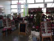 シクラメンの啓発活動および駅コンシェルジュ　のぼり旗