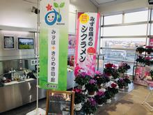 箱根ケ崎駅ＰＲ