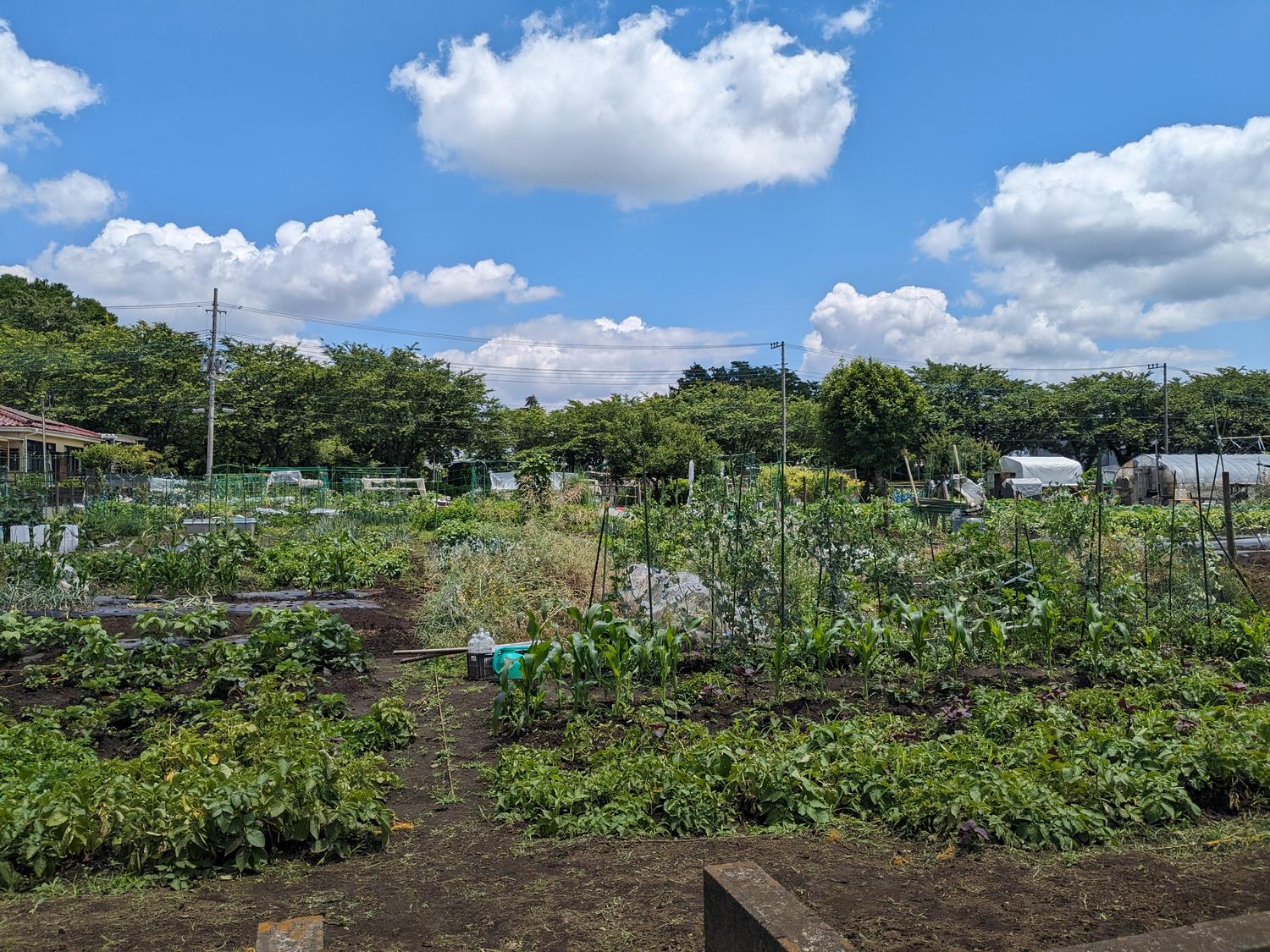町民農園第2農園